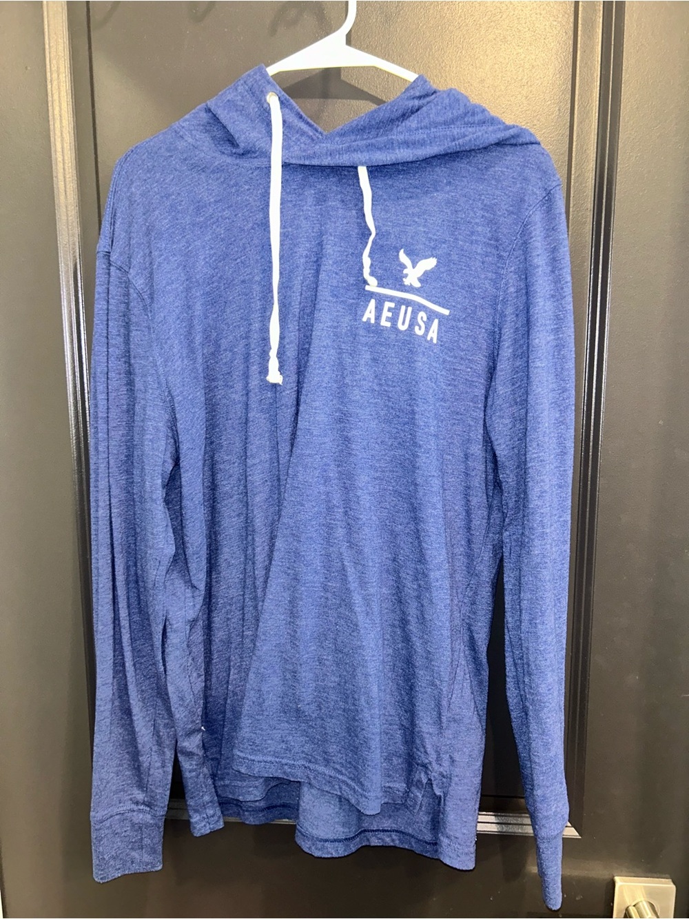 American Eagle Outfitters Blue Hooded Long-Sleeve Tee